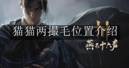 《燕云十六声》猫猫两撮毛位置介绍