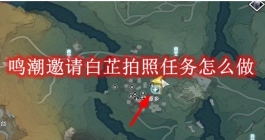 《鸣潮》邀请白芷拍照任务怎么做