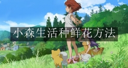 《小森生活》种鲜花方法