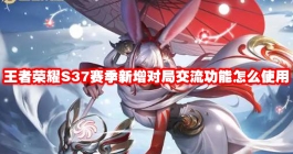 《王者荣耀》S37赛季新增对局交流功能怎么使用