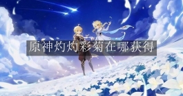 《原神》灼灼彩菊在哪获得