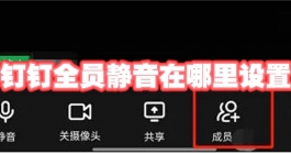《钉钉》全员静音在哪里设置