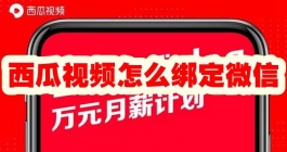 《西瓜视频》自动连续播放怎么设置