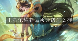 《王者荣耀》苍品质升级怎么样