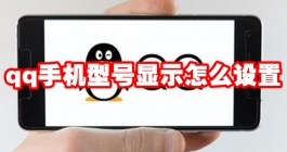 《QQ》手机型号显示怎么设置