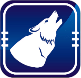 猎狼影视网页版