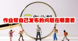 《作业帮》自己发布的问题在哪里看