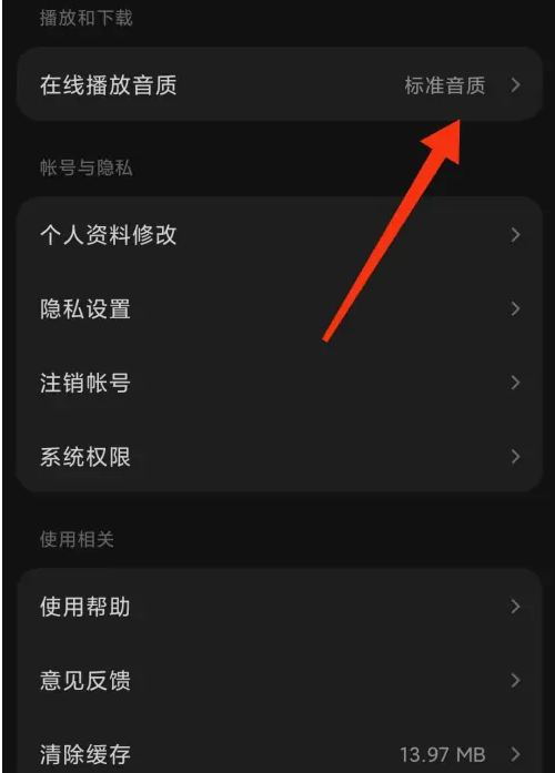 《汽水音乐》调节音质方法