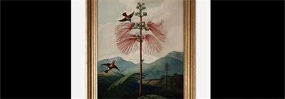 《失落记忆》手游第一章图文教程