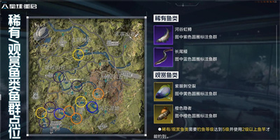 《星球重启》钓稀有鱼位置汇总
