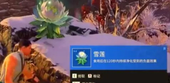 《永劫无间》雪莲位置介绍