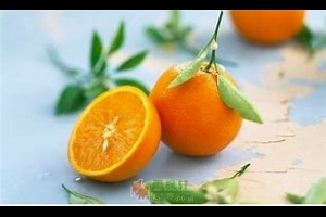 柑子·橙子·核桃·伴侣